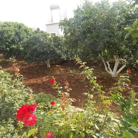 Natural شقة *