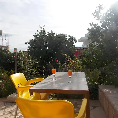 Natural Apartment