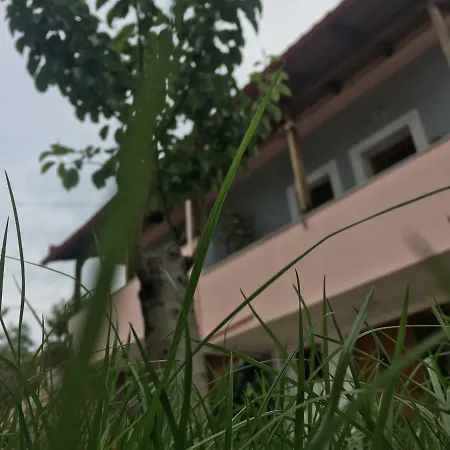 شقة Natural *
