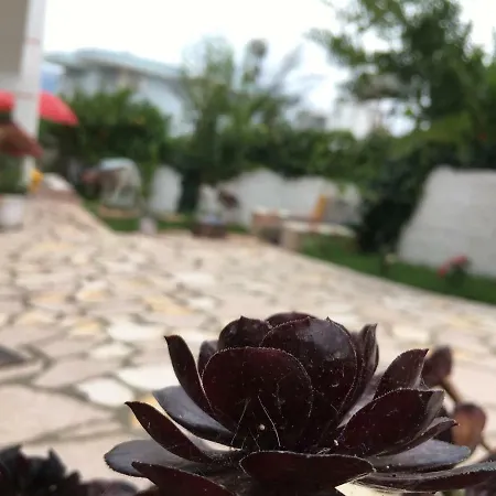 Natural Apartment Ksamil