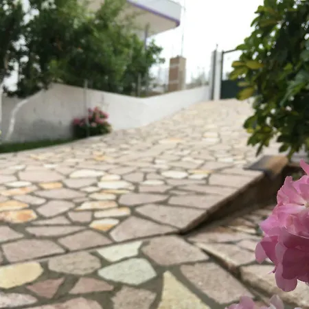 Natural * كساميل